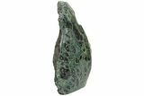 Free-Standing, Single-Side Polished Kambaba Jasper - Madagascar #221065-1
